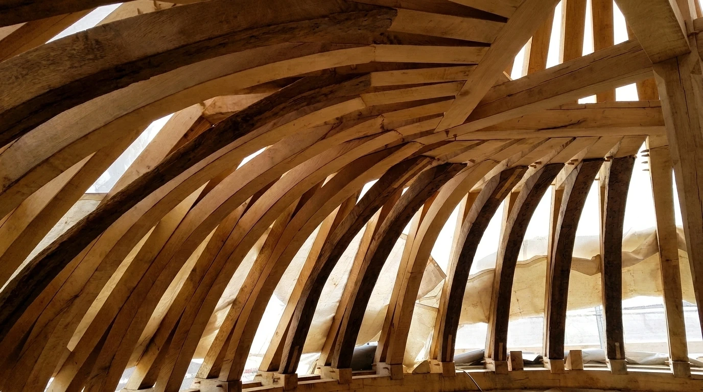 Charpente en bois massif vue de l'intérieur, structure arquée composée de cintres courbes en chêne apparents, disposés en éventail rayonnant